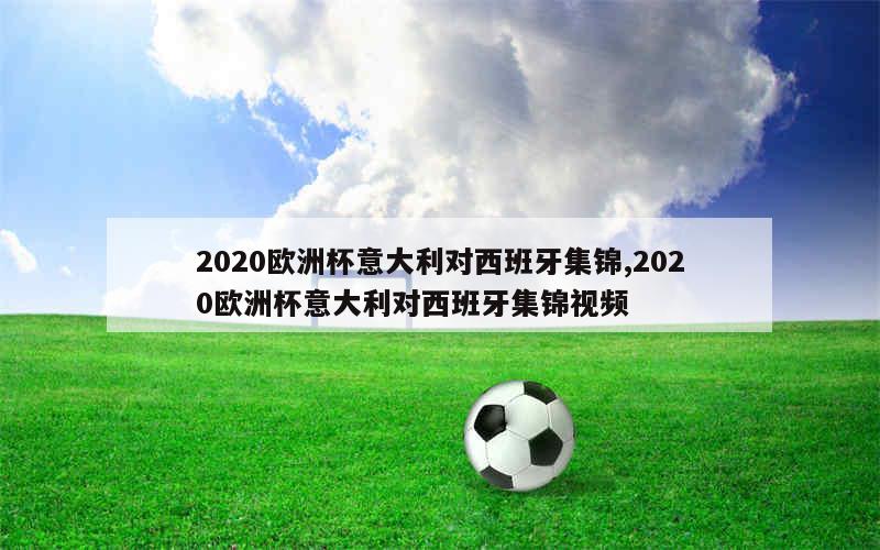 2020欧洲杯意大利对西班牙集锦,2020欧洲杯意大利对西班牙集锦视频