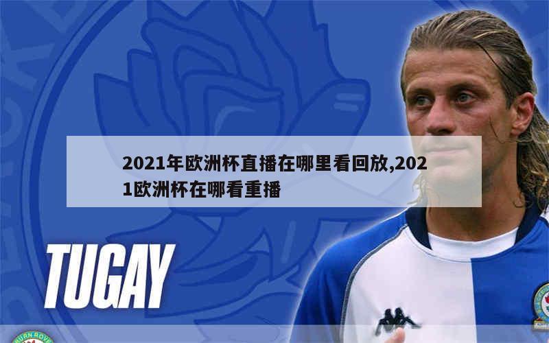 2021年欧洲杯直播在哪里看回放,2021欧洲杯在哪看重播