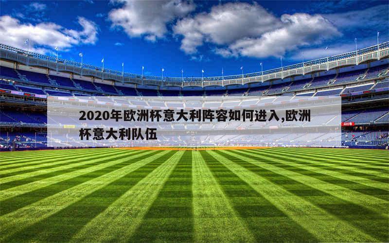 2020年欧洲杯意大利阵容如何进入,欧洲杯意大利队伍