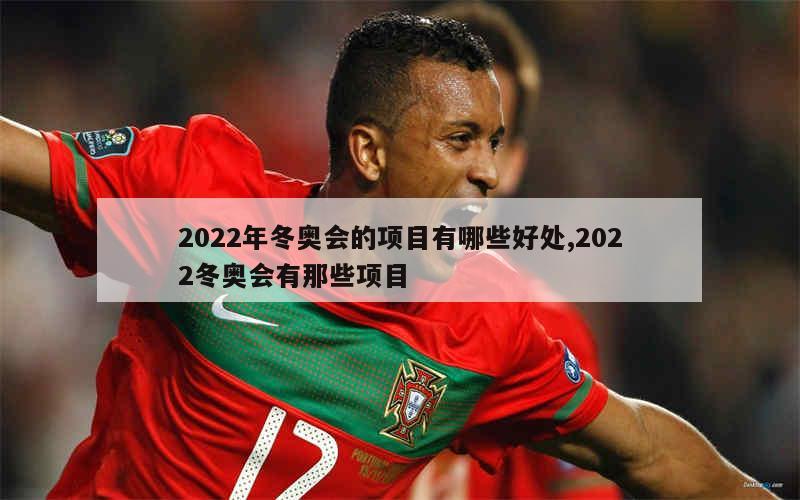 2022年冬奥会的项目有哪些好处,2022冬奥会有那些项目