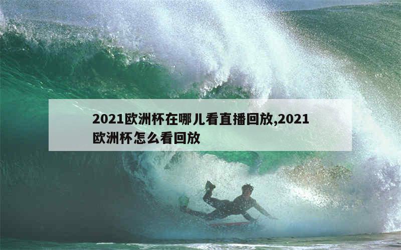 2021欧洲杯在哪儿看直播回放,2021欧洲杯怎么看回放