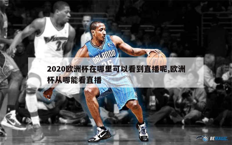 2020欧洲杯在哪里可以看到直播呢,欧洲杯从哪能看直播