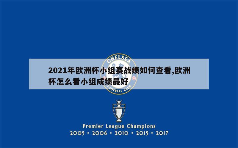 2021年欧洲杯小组赛战绩如何查看,欧洲杯怎么看小组成绩最好