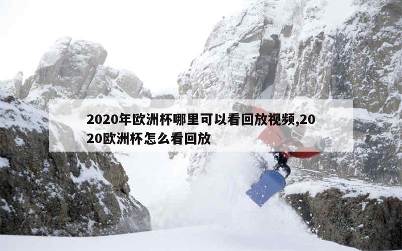 2020年欧洲杯哪里可以看回放视频,2020欧洲杯怎么看回放