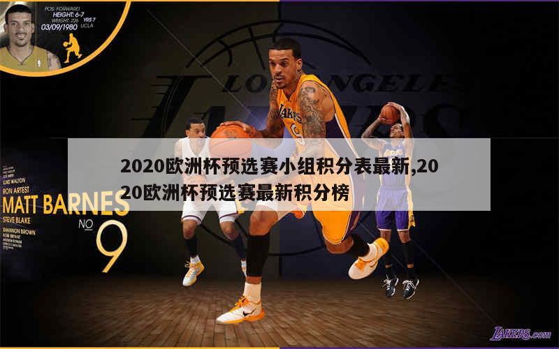 2020欧洲杯预选赛小组积分表最新,2020欧洲杯预选赛最新积分榜