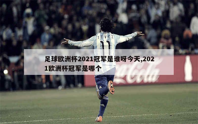 足球欧洲杯2021冠军是谁呀今天,2021欧洲杯冠军是哪个