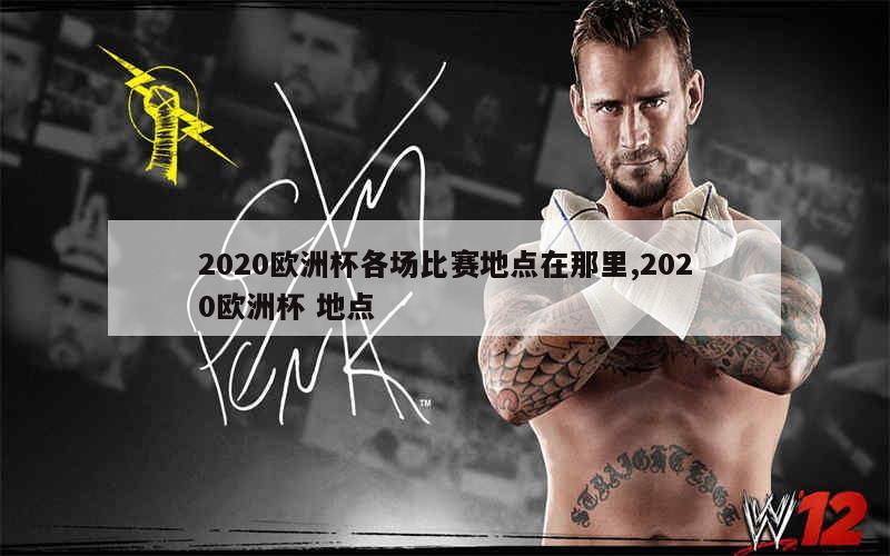 2020欧洲杯各场比赛地点在那里,2020欧洲杯 地点