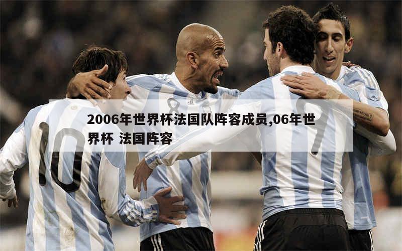 2006年世界杯法国队阵容成员,06年世界杯 法国阵容