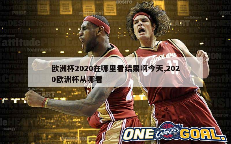 欧洲杯2020在哪里看结果啊今天,2020欧洲杯从哪看