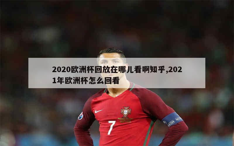 2020欧洲杯回放在哪儿看啊知乎,2021年欧洲杯怎么回看