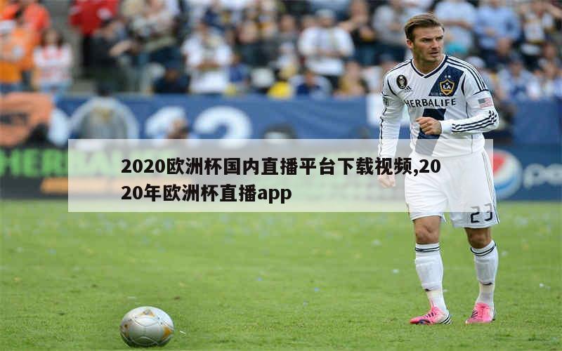 2020欧洲杯国内直播平台下载视频,2020年欧洲杯直播app