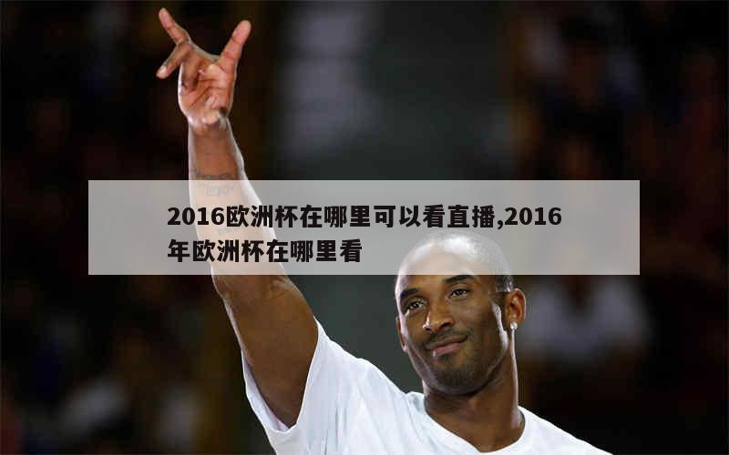 2016欧洲杯在哪里可以看直播,2016年欧洲杯在哪里看