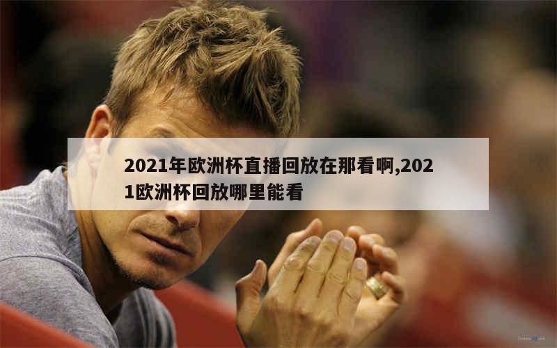 2021年欧洲杯直播回放在那看啊,2021欧洲杯回放哪里能看