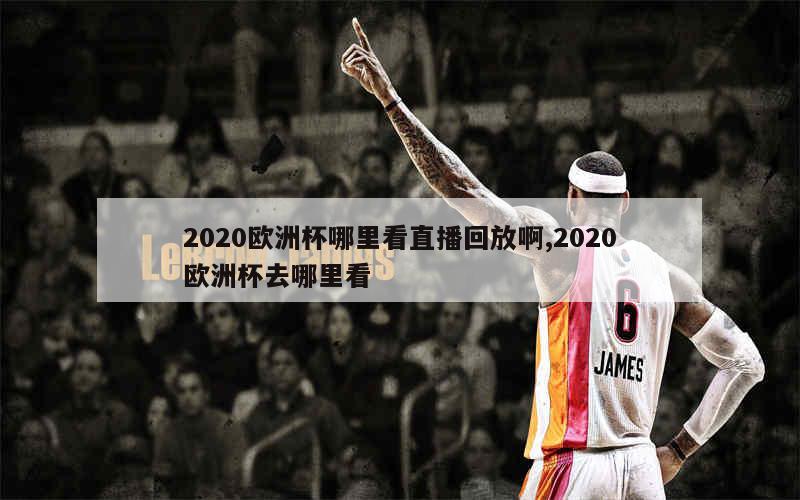 2020欧洲杯哪里看直播回放啊,2020欧洲杯去哪里看