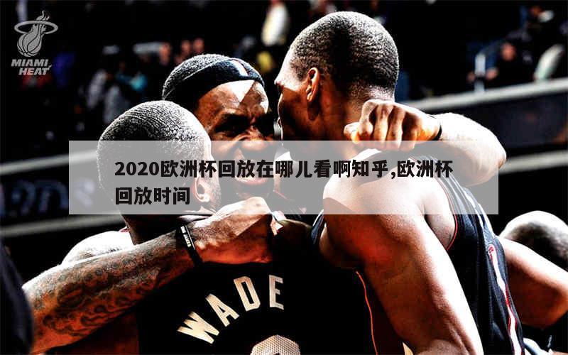 2020欧洲杯回放在哪儿看啊知乎,欧洲杯回放时间