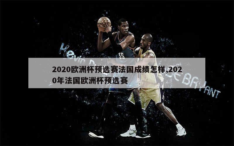 2020欧洲杯预选赛法国成绩怎样,2020年法国欧洲杯预选赛