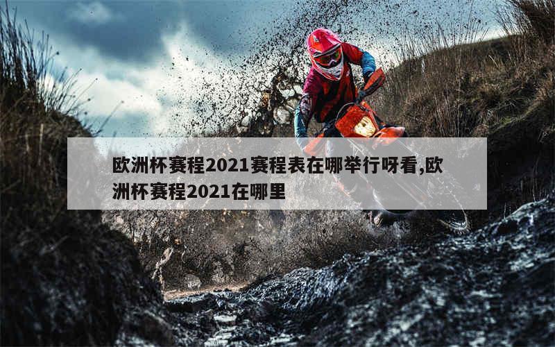 欧洲杯赛程2021赛程表在哪举行呀看,欧洲杯赛程2021在哪里