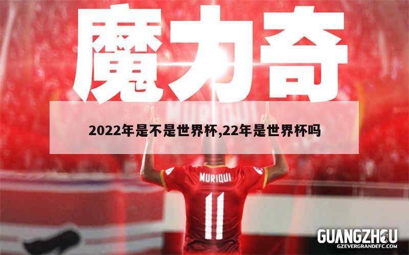 2022年是不是世界杯,22年是世界杯吗