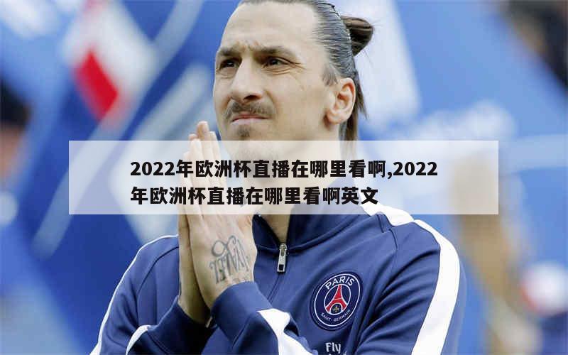 2022年欧洲杯直播在哪里看啊,2022年欧洲杯直播在哪里看啊英文