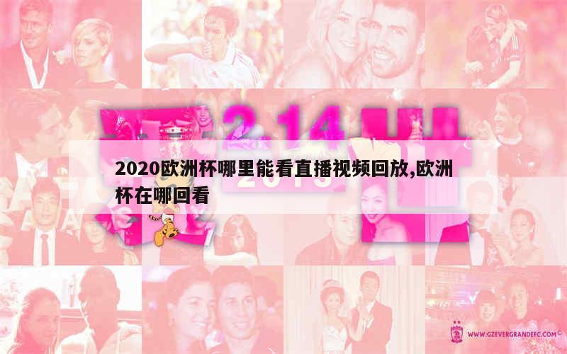 2020欧洲杯哪里能看直播视频回放,欧洲杯在哪回看