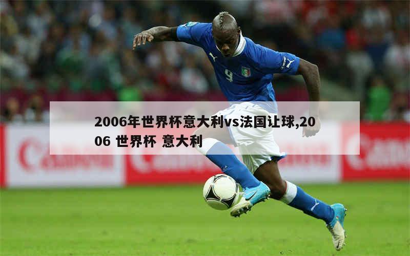 2006年世界杯意大利vs法国让球,2006 世界杯 意大利