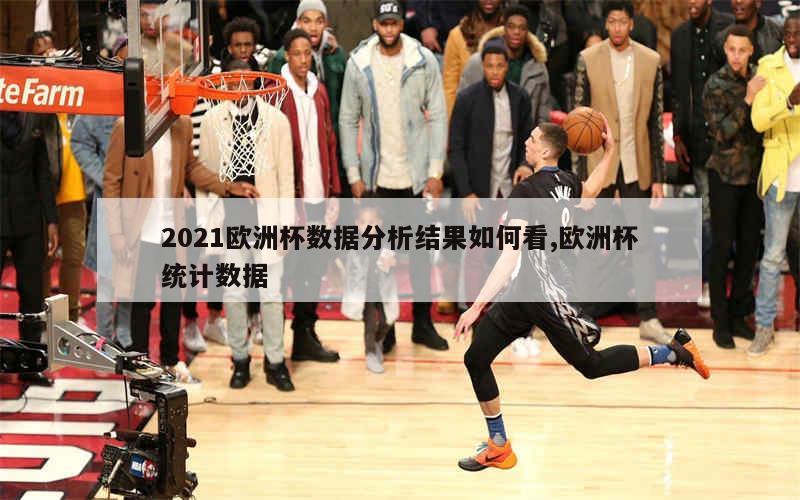 2021欧洲杯数据分析结果如何看,欧洲杯统计数据