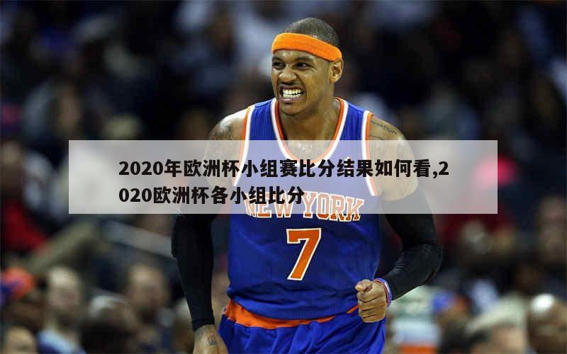 2020年欧洲杯小组赛比分结果如何看,2020欧洲杯各小组比分