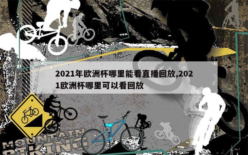 2021年欧洲杯哪里能看直播回放,2021欧洲杯哪里可以看回放