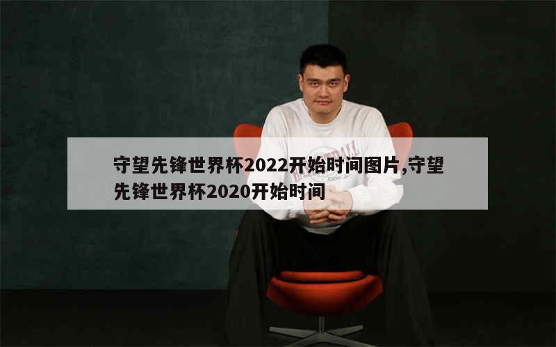 守望先锋世界杯2022开始时间图片,守望先锋世界杯2020开始时间