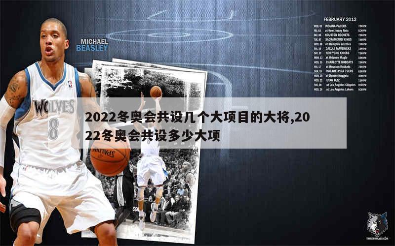 2022冬奥会共设几个大项目的大将,2022冬奥会共设多少大项