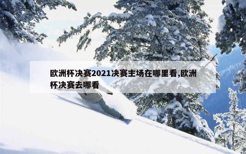 欧洲杯决赛2021决赛主场在哪里看,欧洲杯决赛去哪看