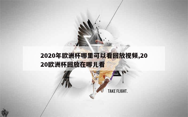 2020年欧洲杯哪里可以看回放视频,2020欧洲杯回放在哪儿看