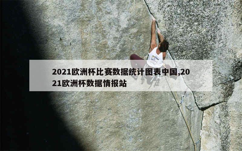 2021欧洲杯比赛数据统计图表中国,2021欧洲杯数据情报站