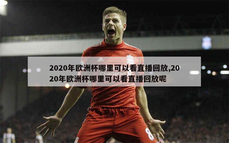 2020年欧洲杯哪里可以看直播回放,2020年欧洲杯哪里可以看直播回放呢