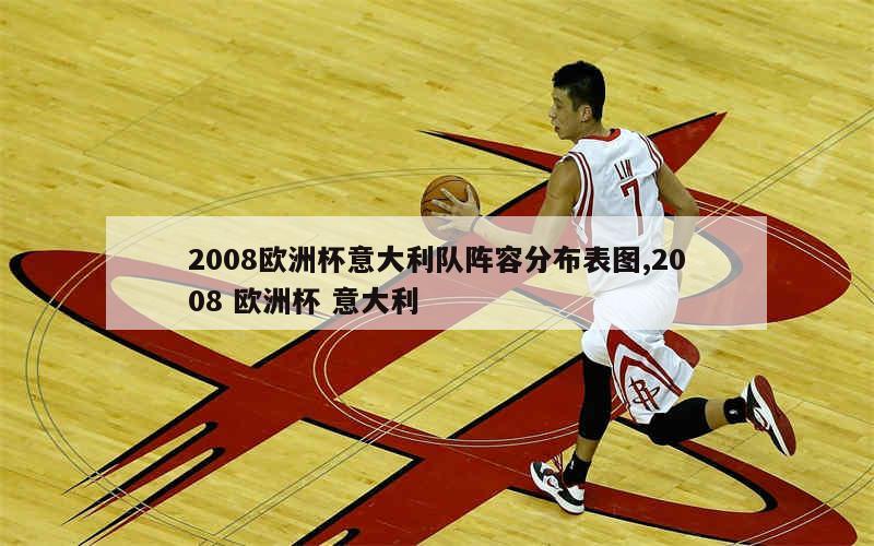 2008欧洲杯意大利队阵容分布表图,2008 欧洲杯 意大利