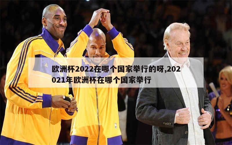 欧洲杯2022在哪个国家举行的呀,202021年欧洲杯在哪个国家举行