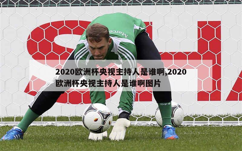 2020欧洲杯央视主持人是谁啊,2020欧洲杯央视主持人是谁啊图片