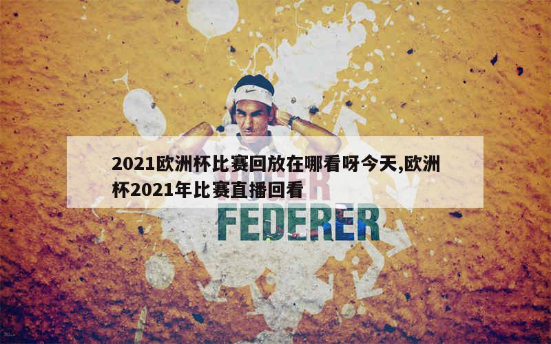 2021欧洲杯比赛回放在哪看呀今天,欧洲杯2021年比赛直播回看