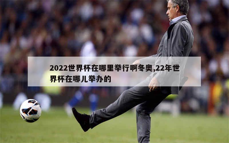 2022世界杯在哪里举行啊冬奥,22年世界杯在哪儿举办的