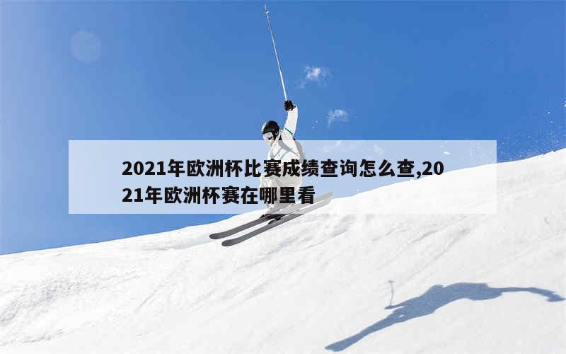 2021年欧洲杯比赛成绩查询怎么查,2021年欧洲杯赛在哪里看