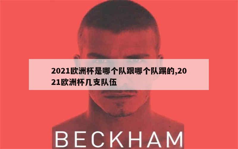 2021欧洲杯是哪个队跟哪个队踢的,2021欧洲杯几支队伍