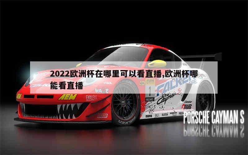 2022欧洲杯在哪里可以看直播,欧洲杯哪能看直播