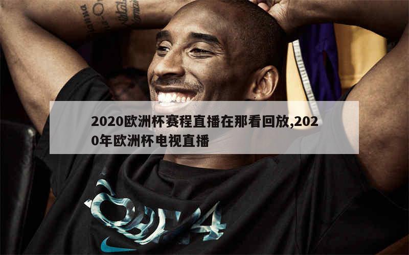 2020欧洲杯赛程直播在那看回放,2020年欧洲杯电视直播