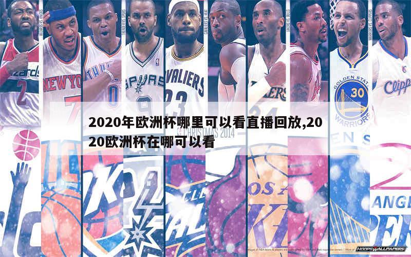 2020年欧洲杯哪里可以看直播回放,2020欧洲杯在哪可以看