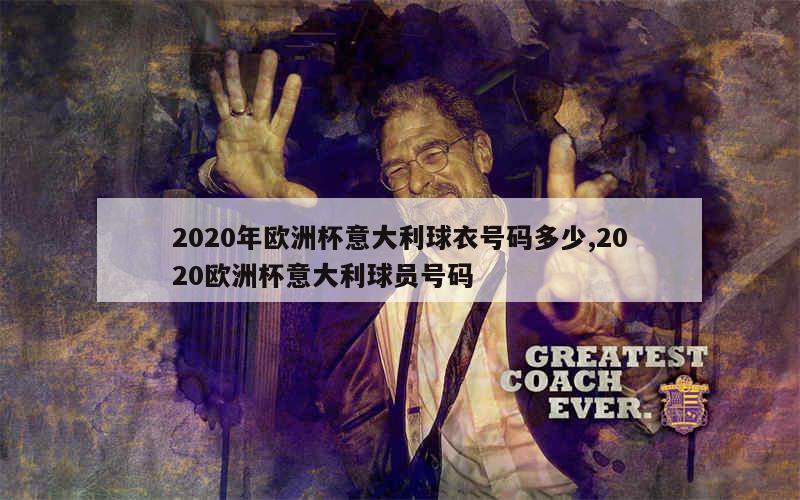 2020年欧洲杯意大利球衣号码多少,2020欧洲杯意大利球员号码