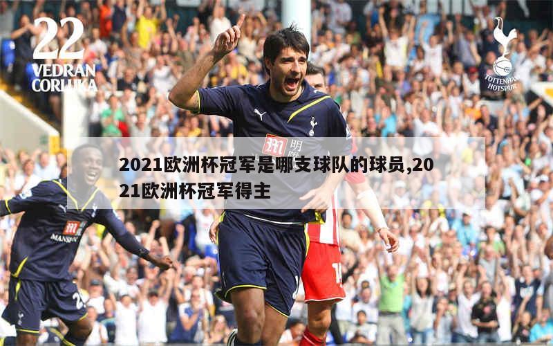 2021欧洲杯冠军是哪支球队的球员,2021欧洲杯冠军得主