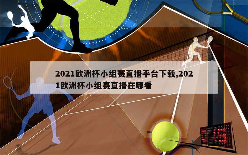 2021欧洲杯小组赛直播平台下载,2021欧洲杯小组赛直播在哪看