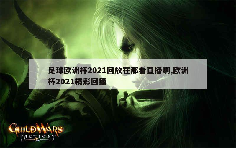 足球欧洲杯2021回放在那看直播啊,欧洲杯2021精彩回播