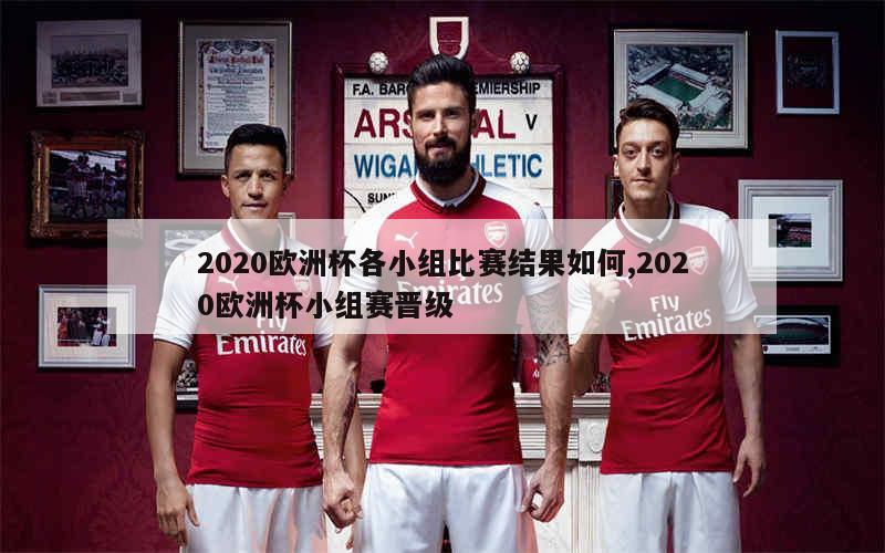 2020欧洲杯各小组比赛结果如何,2020欧洲杯小组赛晋级