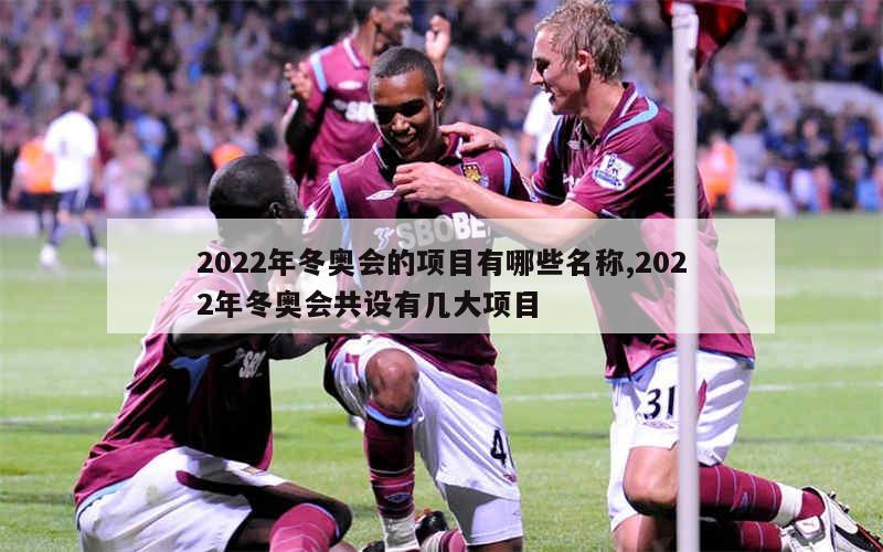 2022年冬奥会的项目有哪些名称,2022年冬奥会共设有几大项目